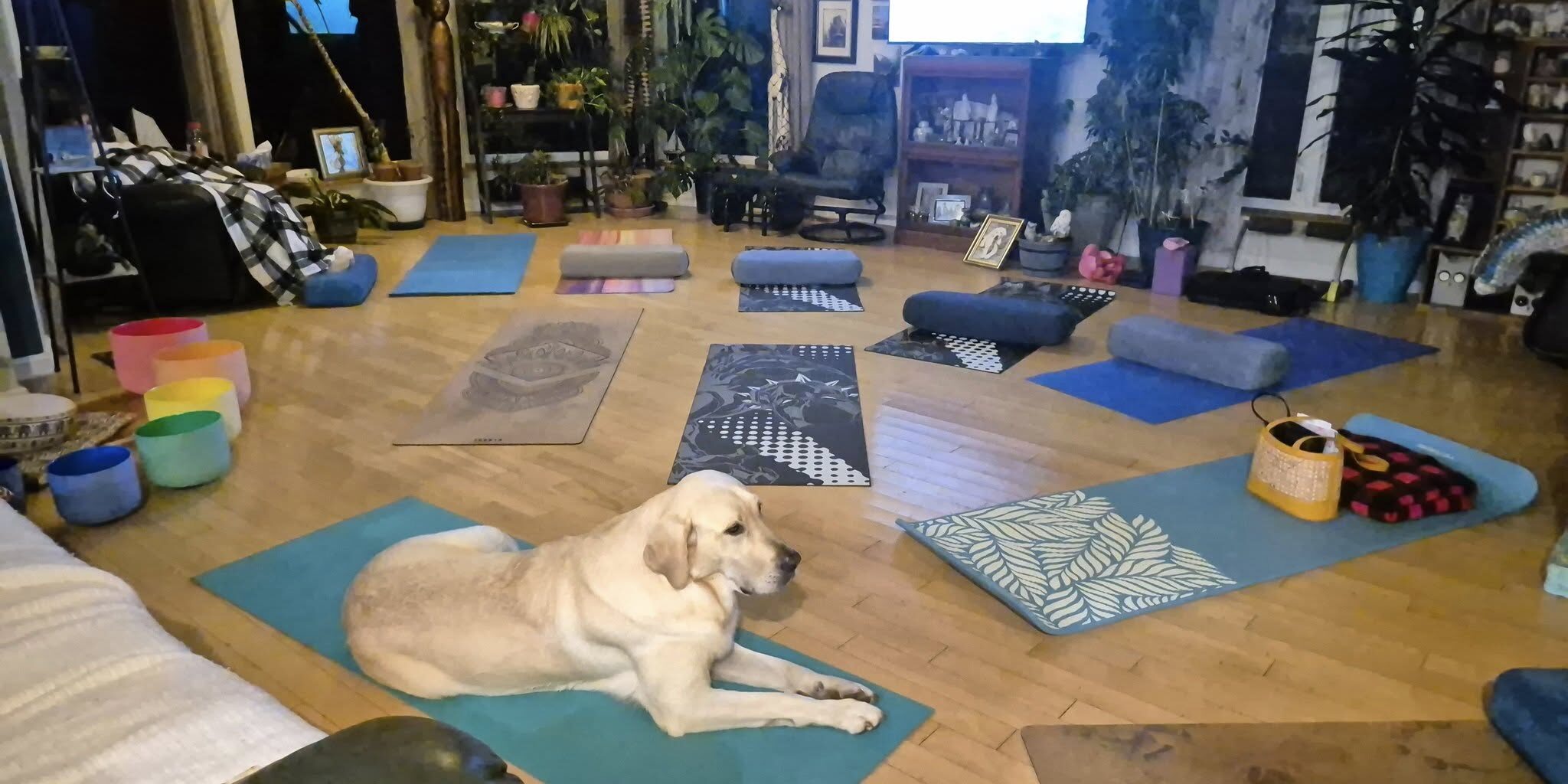 yogaclass